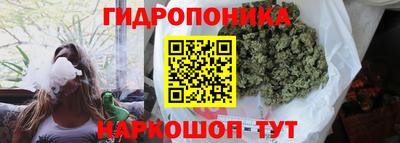 соль ск Камышлов