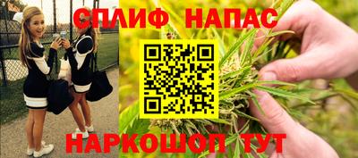 стаф Кандалакша