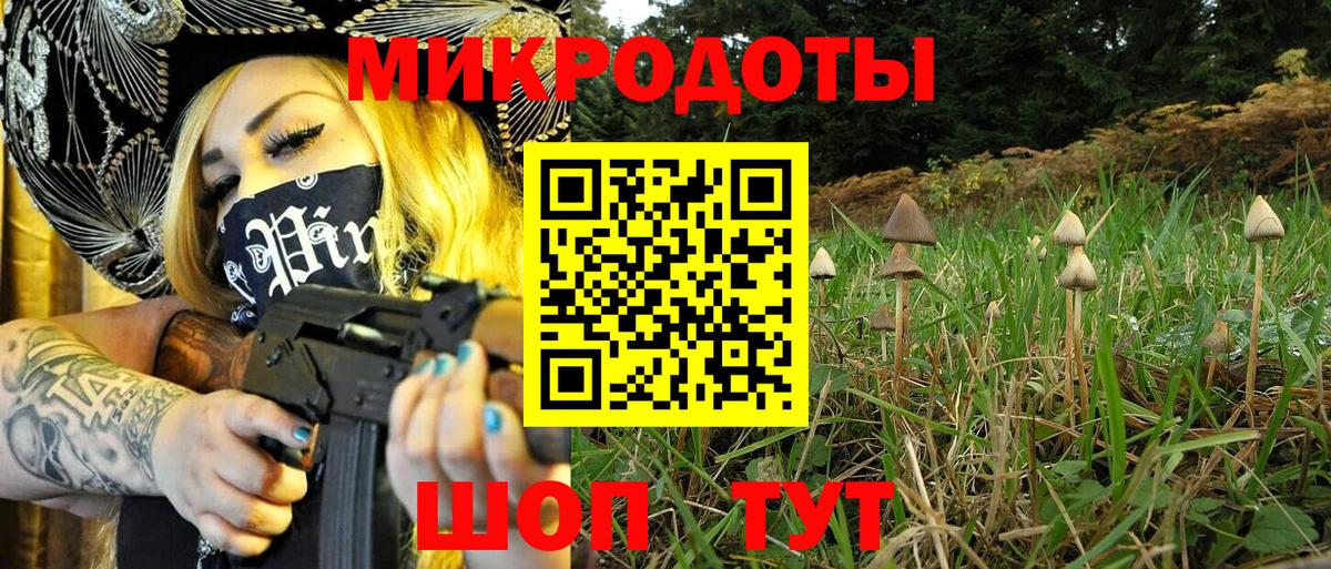 Златоуст  Псилоцибиновые грибы Cubensis  Вход с VPN 